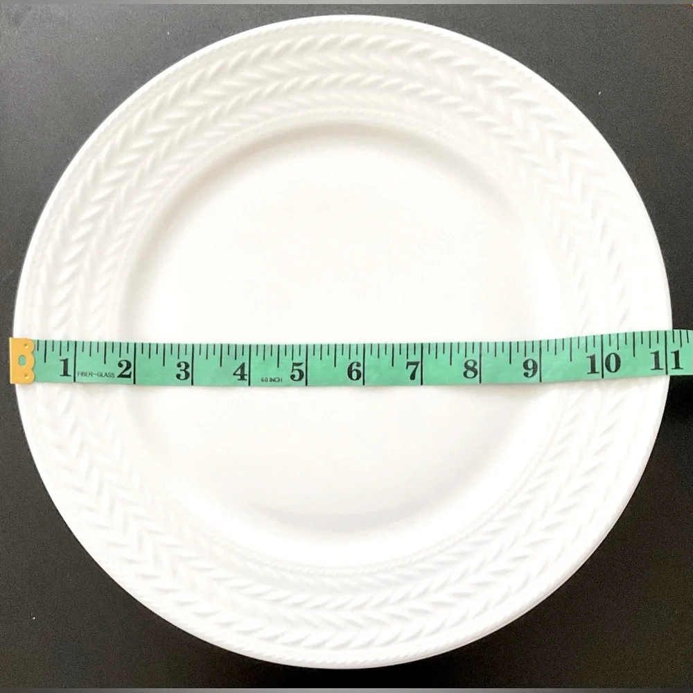New Nelli Mikasa Dinner Plates 11